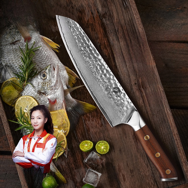 Damascus Steel Chef Knife with Wooden Handle